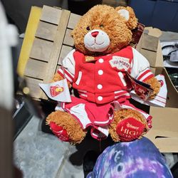 Build A Bear High School Musical Vintage