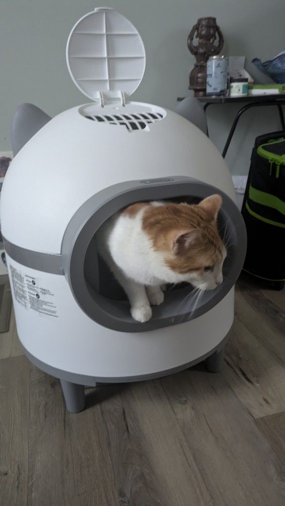 Self Cleaning Litter Box With App Control