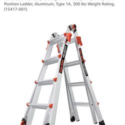 Little giant Velocity ladder