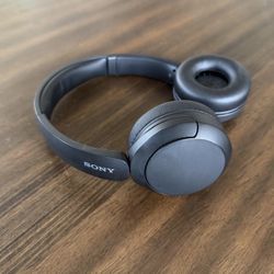 Sony WHCH520 Headphones 