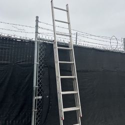 Werner 16ft Ladder 