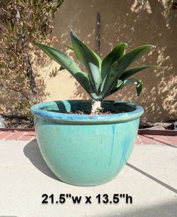 CERAMIC POTS!!