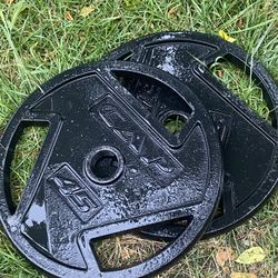 cap cast iron weights