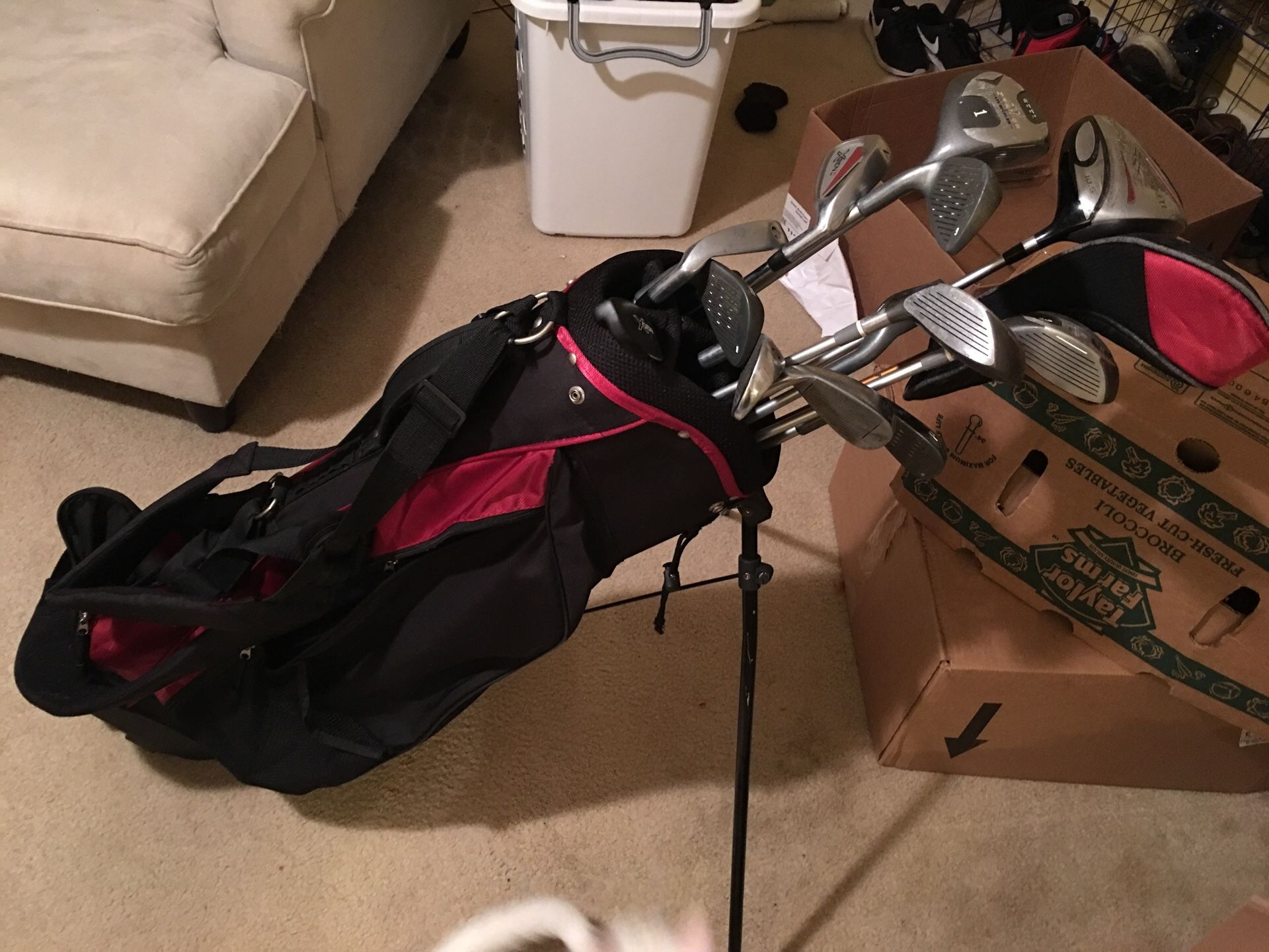 Bag and some clubs $50 or OBO