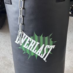 Everlast Kid Punching Bag 