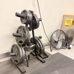 Olympic Weight Set And Rack! 250 Lb. Fitness Gear