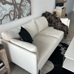 Organic Modern Sofa 