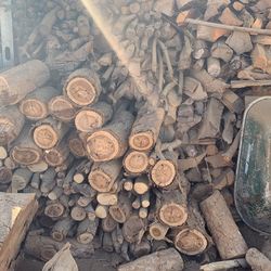 Firewood