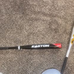 Easton Baseball Bat