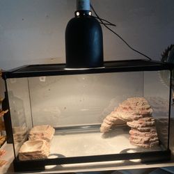 Gecko Tank 