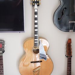 D'angelo Acoustic Electric 