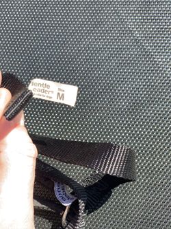 Gentle leader for dog