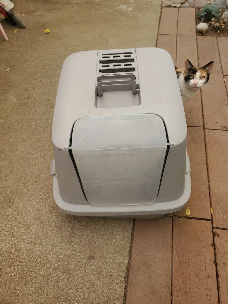 Cat LITTLE Box 17 Inch. High 17 Inch. Wide