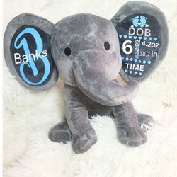 Personalized Baby Birth Stat Gift