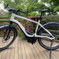 Serial 1 Harley Davidson E-Bike