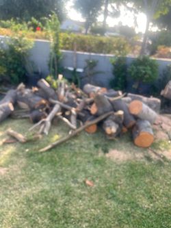 Free firewood