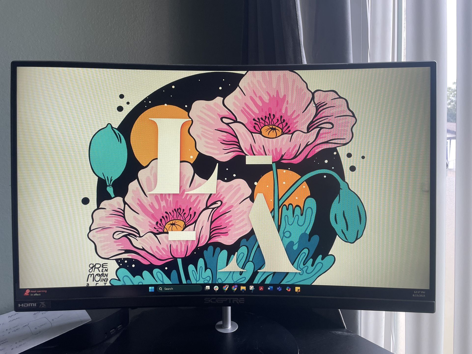 Sceptre Curved 24in Monitor