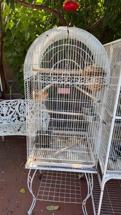 2 cages