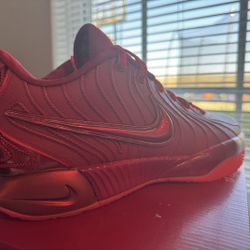 Nike Men's LeBron XXI crimson Size 10.5 Men