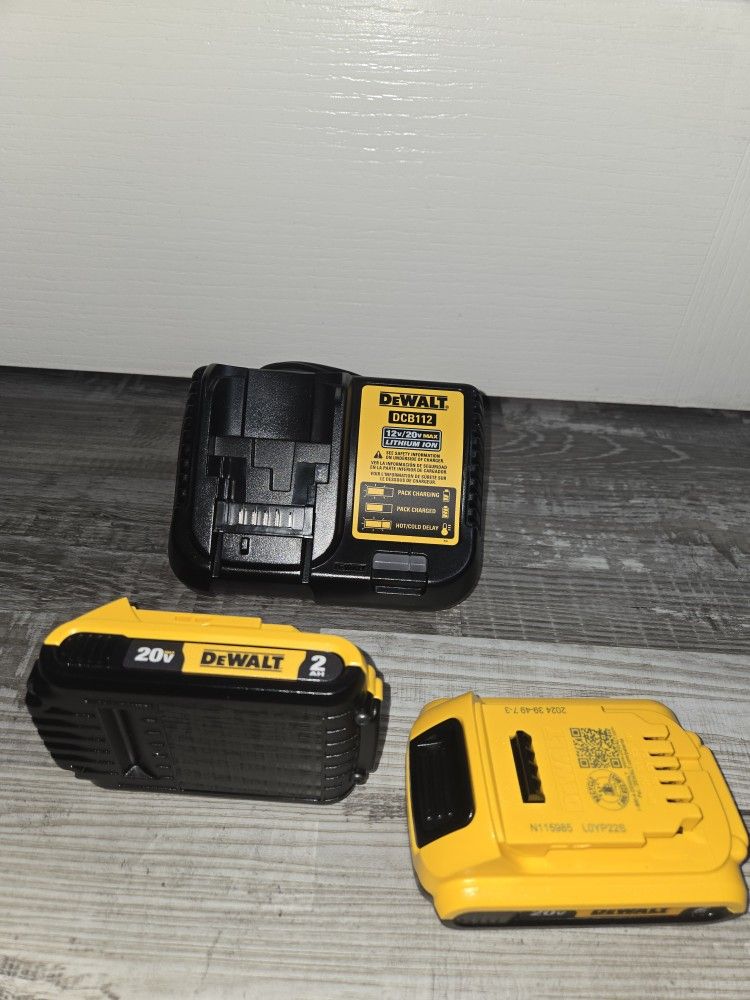 New 2 Battery One Charger 20V 2AH