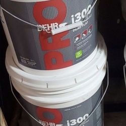 New 5 Gallon White Paint