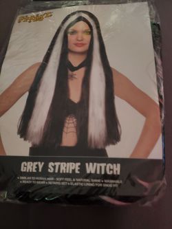 Grey Stripe witch
