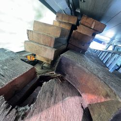 Wood For Firewood Or Craft Work