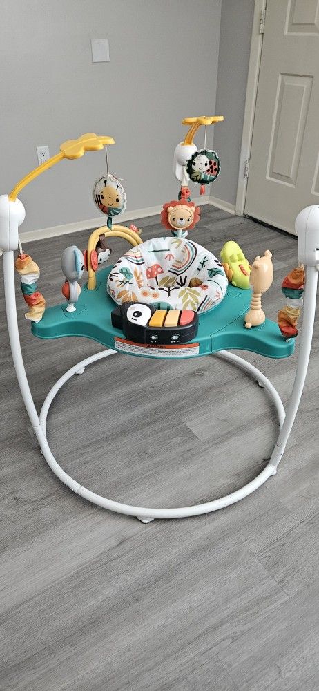 Fisher Price Bouncer