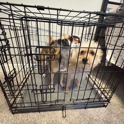 Selling brand new pet cage.