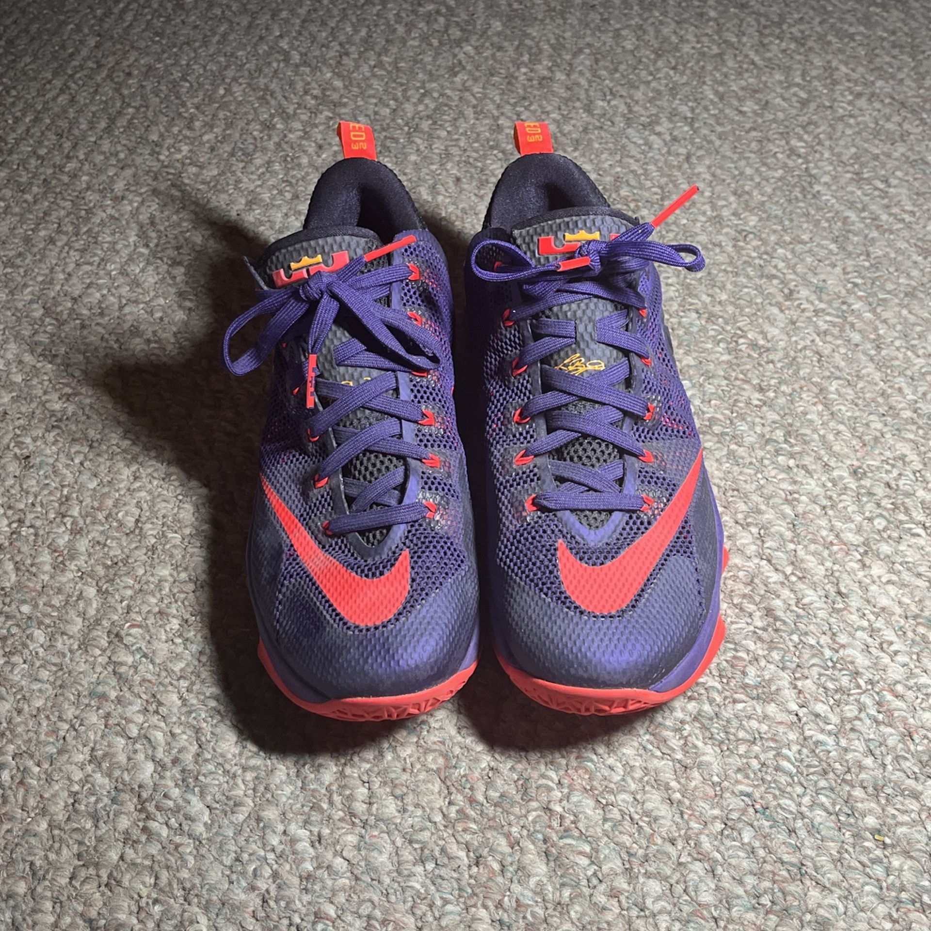 Nike LeBron 23 EARNED Low Court Purple (2015) Sz12