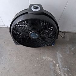 Fan 