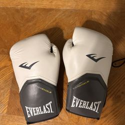Everlast EverShield Boxing Gloves – Like New, Used Once