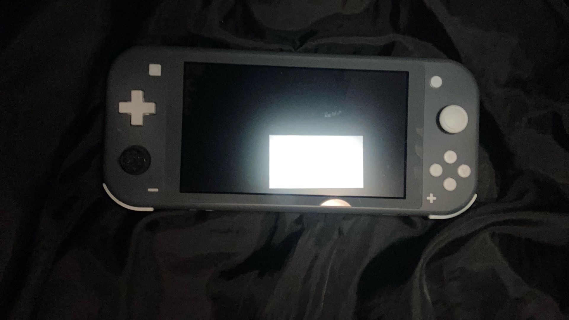 Nintendo Switch Lite, Color :gray
