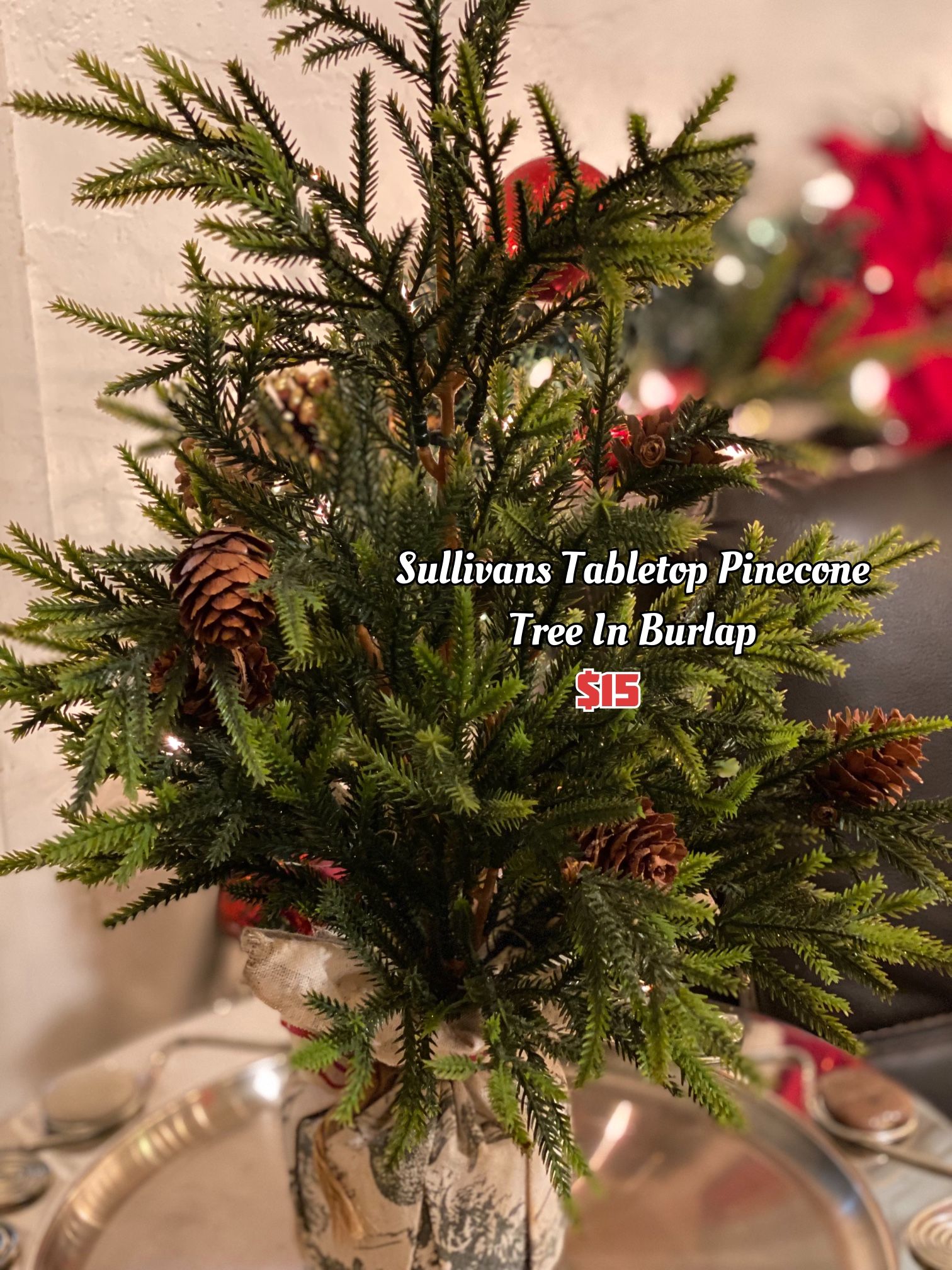 Sullivans Tabletop Pinecone Tree In Burlap
