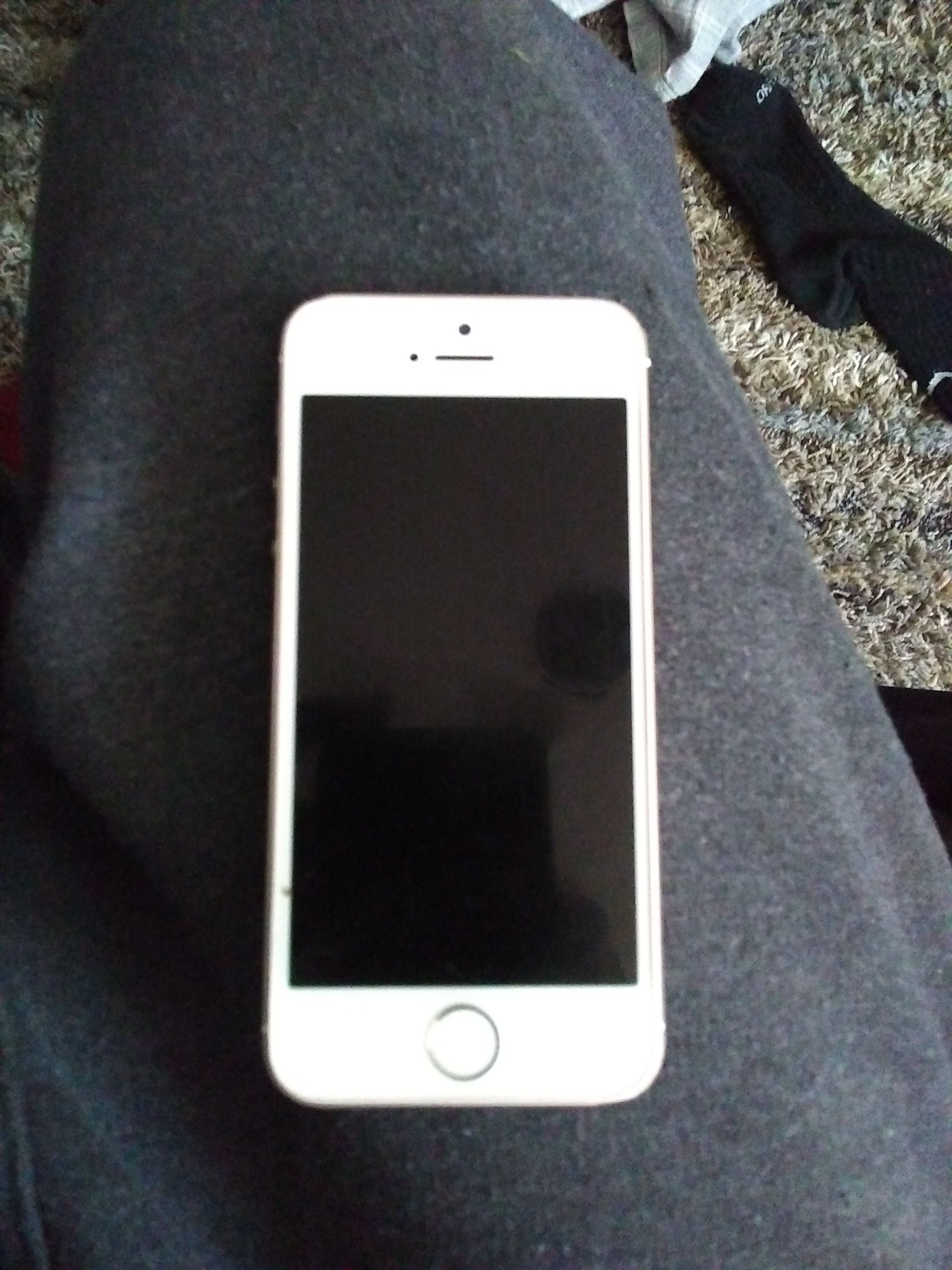 iPhone 5 Brand new