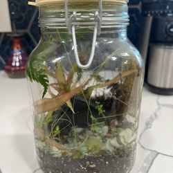 Terrarium