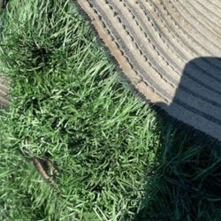 Spring Liquidation Of Recycled Artificial Turf In Alpine 