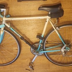 My Bicycle   NISHIKI