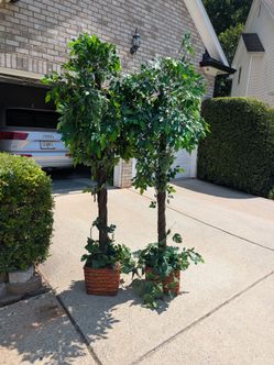 2 Large Fake Trees Look Real