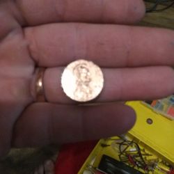 2009 Penny With No Mint Mark 