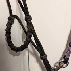 Horse Halter 