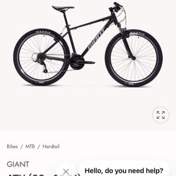 Giant Mountain Bike