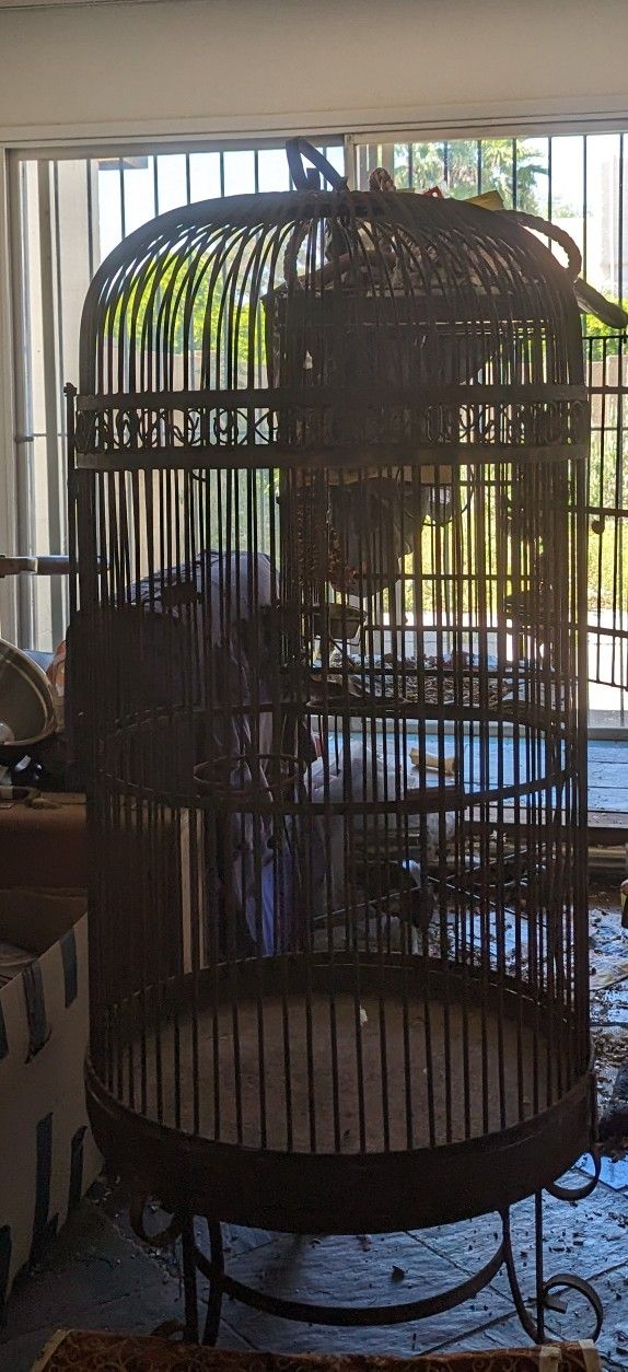 Parrot Cage