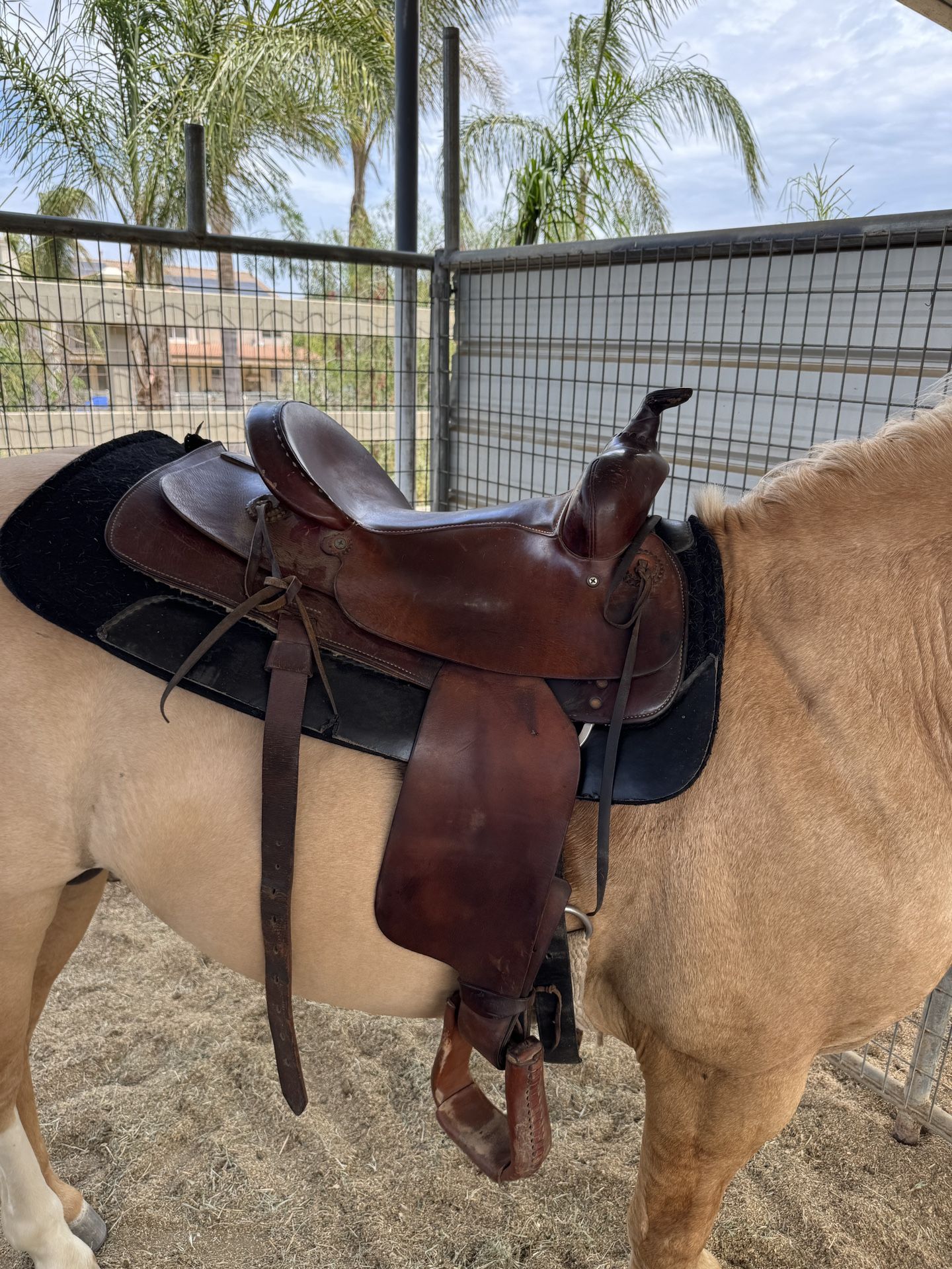 Western Saddle 15.5”