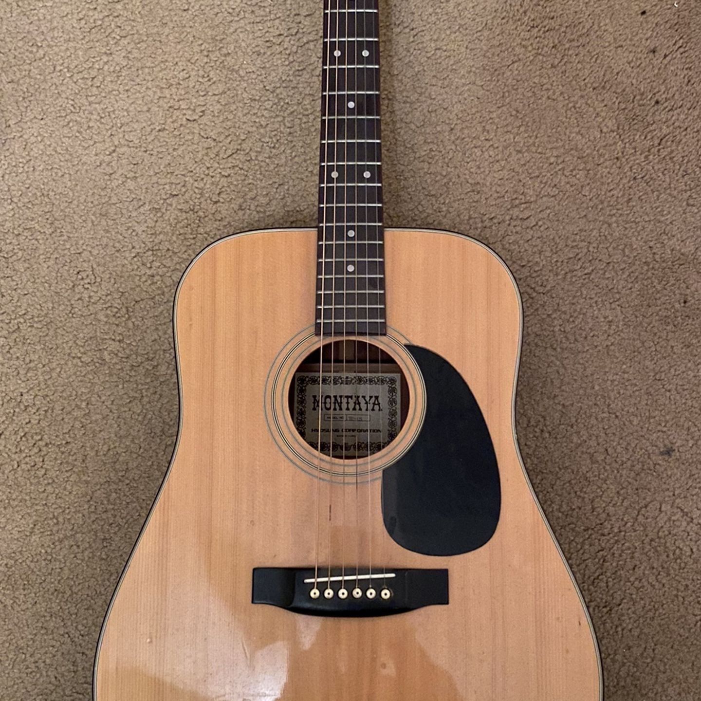 Montaya Acoustic Guitar 