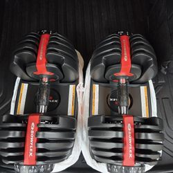 Bowflex Adjustable Dumbbells Set