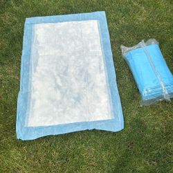 Bed Padding Disposable  Bag 10 Pzas. 