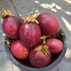 Passion Fruits Vegetable Edible Plants  Sale  $0.50