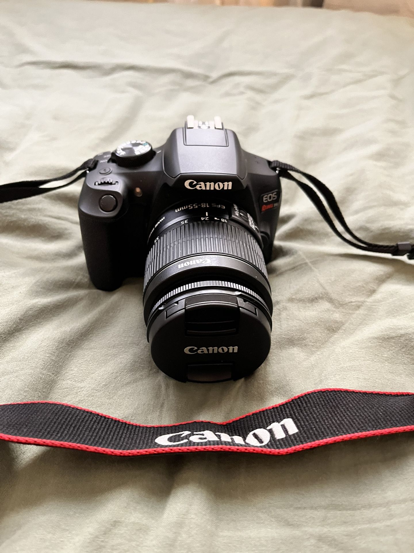 Canon EOS Digital T6 SLR with Bag, Extra Lens, and Supplies