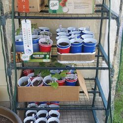 4 Tier Greenhouse With Seedling Cups